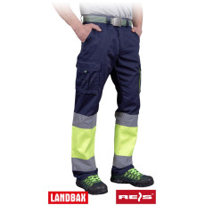 Захисні штани REIS BAX-T GY