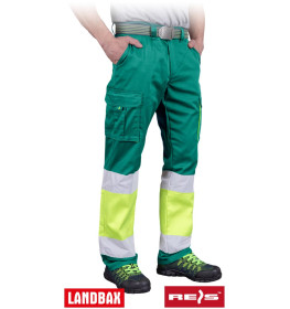 Захисні штани REIS BAX-T ZY