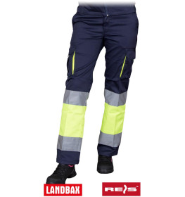 Захисні штани REIS FRAUBAX-T GY