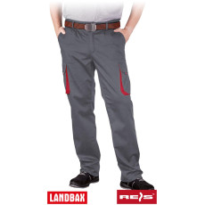 Захисні штани REIS LAND-T SC