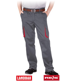 Захисні штани REIS LAND-T SC
