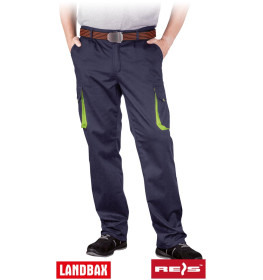 Захисні штани REIS LAND-T GY