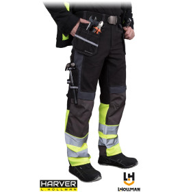 Захисні штани L.HOLLMAN LH-HAYER-T BYS